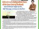 คอหุ้น Investor Guide 27 พฤษภาคม 2569 - 2