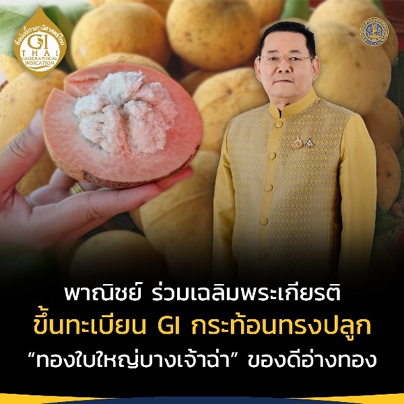 เฉลิมพระเกียรติ พระบาทสมเด็จพระเจ้าอยู่หัว เนื่องในโอกาสมหามงคลเฉลิมพระชนมพรรษาครบ 6 รอบ ขึ้นทะเบียน GI กระท้อนทรงปลูก ‘กระท้อนทองใบใหญ่บางเจ้าฉ่า’