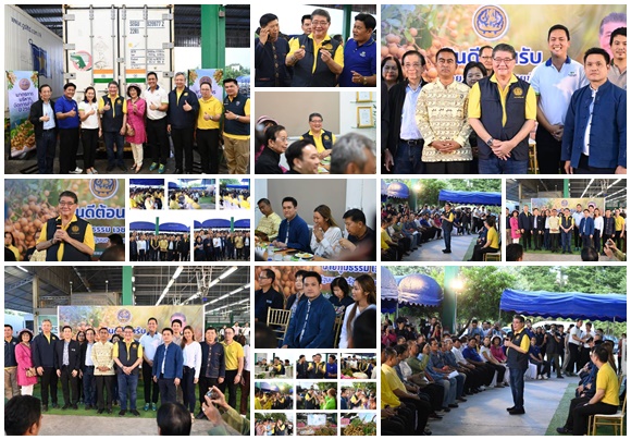 ภูมิธรรม ปลื้มลำไยราคาพุ่ง เร่งประสาน 3 หน่วยงาน มหาดไทย-กลาโหม-แรงงาน แก้ปัญหาเกษตรกรขาดแรงงานเก็บลำไยภาคเหนือ