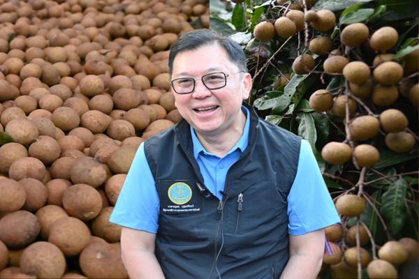 จตุพร เกาะติดลำไย เร่งโรงอบ-จุดร่อน เพิ่มจุดรับซื้อ พร้อมอัดมาตรการเสริมเต็มสูบ
