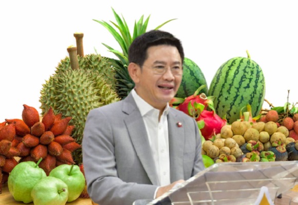 ไทยแชมป์ส่งออกผลไม้จีน มีส่วนแบ่งตลาด 41.3% ทุเรียน-ลำไย-มังคุด ยึดเกือบเต็ม 100%