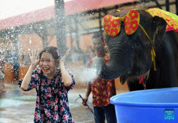 นักท่องเที่ยวเล่นสาดน้ำ ช้างน้อยร่วมสนุกในพัทยา