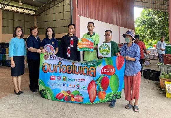 พาณิชย์ ลุยซื้อ 'มะม่วงแฟนซี' เชียงใหม่-ลำพูน ดันราคาปีนี้เพิ่มแรง 47%