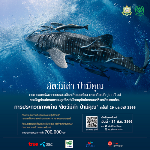 กระทรวงทรัพยากรฯ และเครือซีพี ชวนคนไทยร่วมถ่ายทอดความงดงามของธรรมชาติผ่านการถ่ายภาพและคลิปวิดีโอ ในการประกวดภาพถ่าย ‘สัตว์มีค่า ป่ามีคุณ’ ครั้งที่ 29