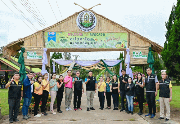 กรมวิชาการเกษตร ขยายผลเทคโนโลยียกระดับคุณภาพ ‘อะโวคาโด มรกตแห่งขุนเขา’ พร้อมคุมเข้ม สกัดลักลอบนำเข้า