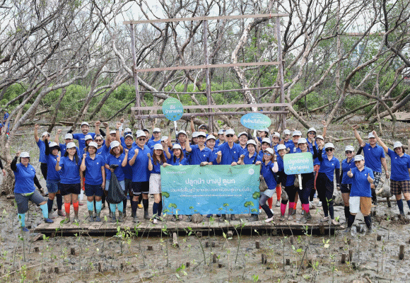 โมเดอร์นฟอร์มสานต่อภารกิจรักษ์โลกปีที่ 2 ปลูกป่าชายเลน 1,000 ต้น เพิ่มพื้นที่สีเขียวและกักเก็บคาร์บอนสู่ความยั่งยืน
