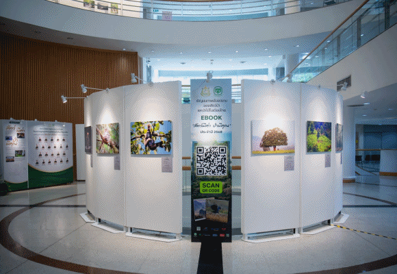 หนึ่งภาพ&hellip;ปลุกพลังทั้งผืนป่า