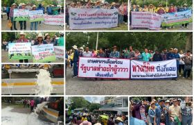 เกษตรกรผู้เลี้ยงโคนม สุดทนต้องเทน้ำนมทิ้งทุกวัน อีกทั้งค่าน้ำนมดิบที่จำหน่ายให้กับ อ.ส.ค.ก็ไม่ได้รับทั้งๆที่เป็นหน่วยงานรัฐ นัดชุมนุมประท้วงครั้งใหญ่ ในวันที่ 28 เมษายนนี้