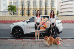 asap เปิดตัว &lsquo;asap Pet Journey&rsquo;เที่ยวนี้มีน้องไปด้วย! บริการรถเช่า EV สำหรับคนรักสัตว์