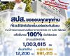 เปิดคะแนนเลือกตั้งบอร์ดประกันสังคมอย่างไม่เป็นทางการ หลังนับครบ 100% เผย นายจ้าง &ndash; ผู้ประกันตน ใช้สิทธิรวมกว่า 1 ล้านคน