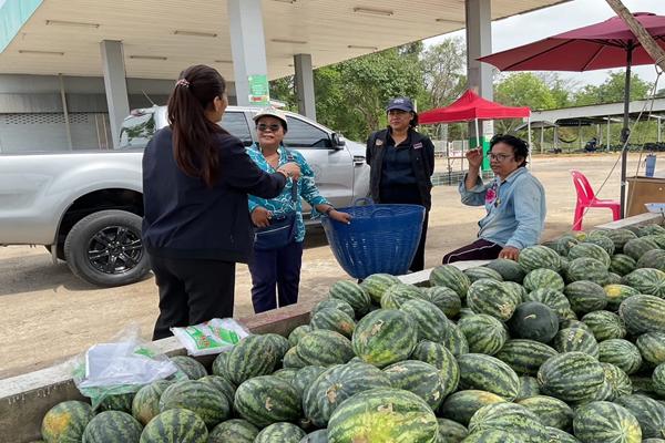 พาณิชย์ เผยประชาชน ผู้ประกอบการ เข้าช่วยเกษตรกร แห่ซื้อแตงโมชัยนาทคึกคัก