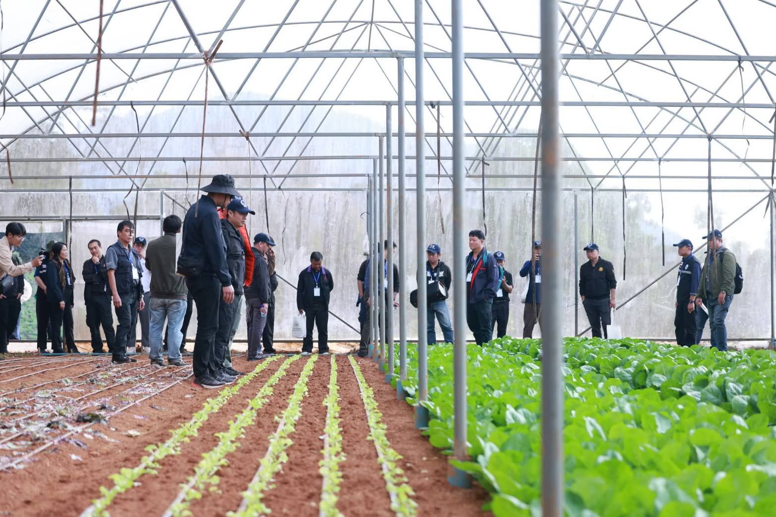 630482761 122204182496502959 5220079569781787209 n