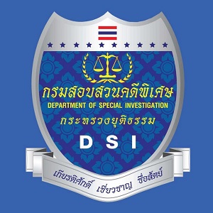 DSI logo