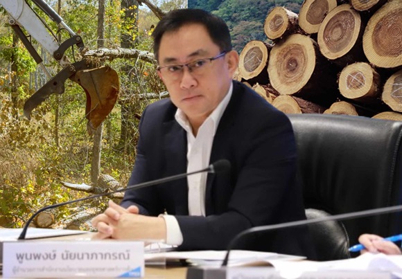 สนค.เตือนผู้ผลิต ผู้ส่งออก เตรียมรับมือมาตรการอียูแบนสินค้าตัดไม้ทำลายป่า