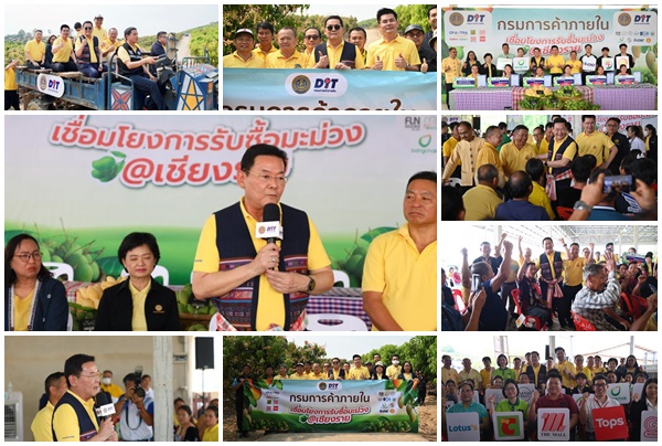 นภินทร ขึ้นอีแต๋น นำพาณิชย์ จับมือเอกชนรับซื้อมะม่วงแปลงใหญ่พญาเม็งราย กว่า 3,500 ตัน มูลค่ากว่า 80 ล้าน ชาวสวนชื่นมื่น รวยถ้วนหน้า