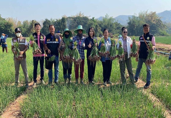 กรมการค้าภายใน ผนึกพาณิชย์จังหวัดอุตรดิตถ์ นำผู้ประกอบการเข้าซื้อหอมแดงถึงที่