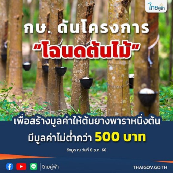 กษ. ดันโครงการ'โฉนดต้นไม้'เพื่อสร้างมูลค่าให้ต้นยางพาราหนึ่งต้น มีมูลค่าไม่ต่ำกว่า 500 บาท 