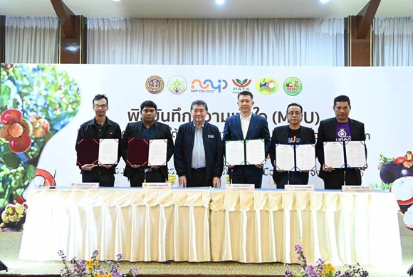 ภูมิธรรม เป็นประธานเซ็น MOU ซื้อขายมังคุด ส่งออกจีน-ญี่ปุ่น 2,250 ตัน มูลค่า 65