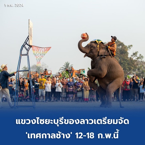 แขวงไซยะบุรีของลาว เตรียมจัด'เทศกาลช้าง' 12-18 ก.พ.นี้