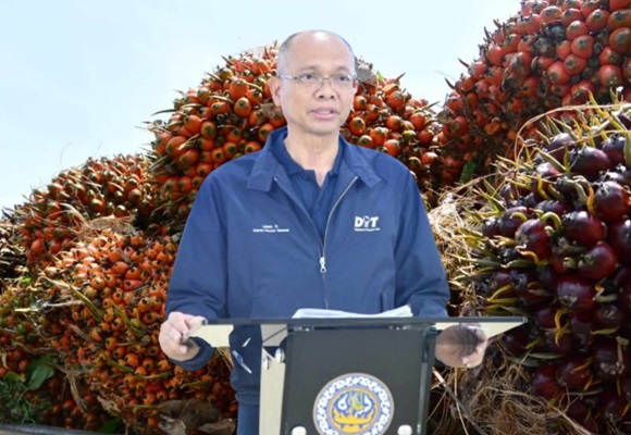 พาณิชย์ ประกาศ ห้ามลานเท ทำปาล์มร่วงไม่เป็นธรรมชาติ ตรวจพบเล่นงานหนัก