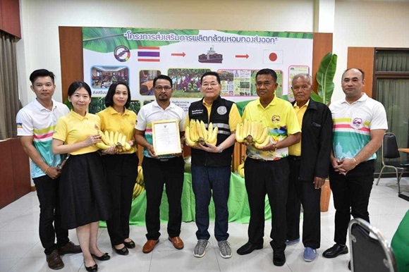 นภินทร มอบประกาศขึ้นทะเบียน GI 'กล้วยหอมทองเพชรบุรี' มั่นใจเพิ่มรายได้เกษตรกร