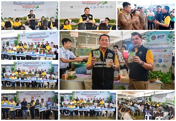 ชาวสวนมะนาว เฮ นภินทร นำตลาดกลาง รับซื้อมะนาวแป้นเมืองเพชร กว่า 14,300 ตัน เตรียมดูดซับผลผลิตช่วงล้นตลาด ดันราคาดีตลอดฤดูกาล