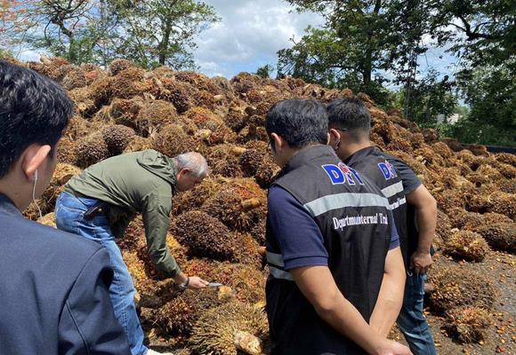 ภูมิธรรม สั่งสายตรวจเฉพาะกิจ ตรวจเข้ม 'ลานเท-โรงสกัด' ดูแลเกษตรกรขายปาล์ม