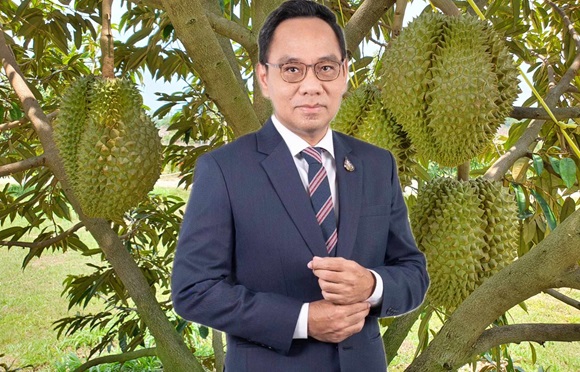 พาณิชย์ มั่นใจปีนี้ไทยแชมป์ส่งออกทุเรียนไปจีน หลังแก้เรื่องด่านจบ บวกทำตลาดเชิงรุก