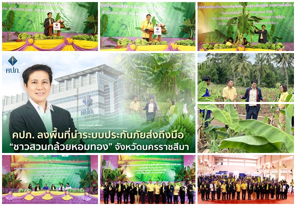 คปภ.ส่งเสริมผลิตภัณฑ์ประกันภัยเชิงรุกสู่ระดับภูมิภาคอย่างยั่งยืน ประจำปี 2567 ‘การประกันภัยกล้วยหอมทอง’
