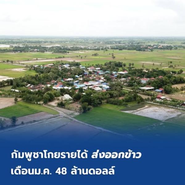 กัมพูชา โกยรายได้ 'ส่งออกข้าว'เดือนม.ค.48 ล้านดอลล์