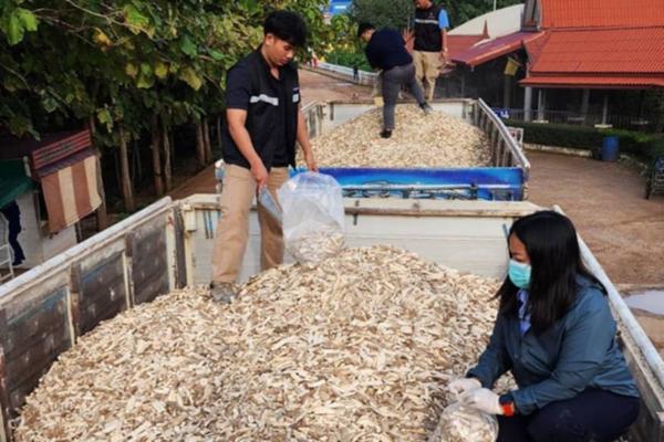 พาณิชย์ เพิ่มกำลัง คุมเข้มคุณภาพมันเส้นทั้งนำเข้า-ส่งออก สร้างความเชื่อมั่นจีนซื้อซ้ำ