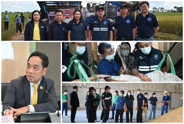 พาณิชย์ ยันอนุตลาดข้าว พิจารณาข้อเรียกร้องชาวนาทุกกลุ่ม 3 มาตรการช่วยเร่งด่วน 'ชะลอขายข้าว-ชดเชยดอกเบี้ย-เปิดจุดรับซื้อ' ทำได้ทันที เพื่อดึงราคาตลาด