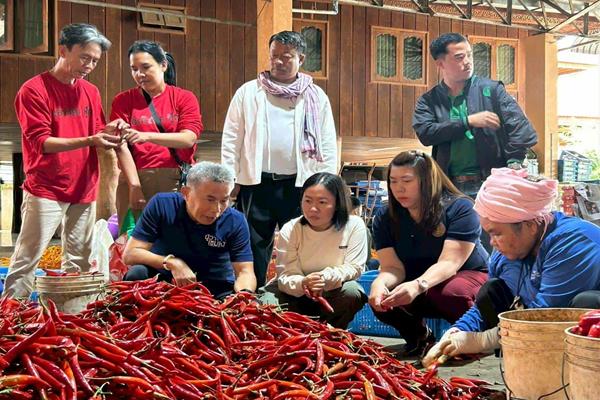 ซื้อพริกเชียงใหม่