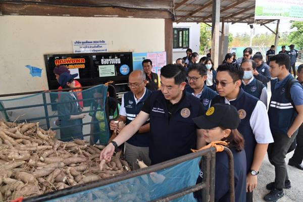 พาณิชย์ลงพื้นที่ จ.อุบลราชธานี ตรวจสอบเปิดจุดรับซื้อมัน ดูแลเกษตรกรขายผลผลิต