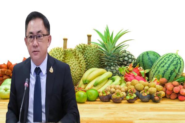 พาณิชย์ เผยผลไม้ แชมป์ส่งออกสินค้าเกษตร 'ทุเรียน'นำโด่งขายกว่า 1.34 แสนล้าน