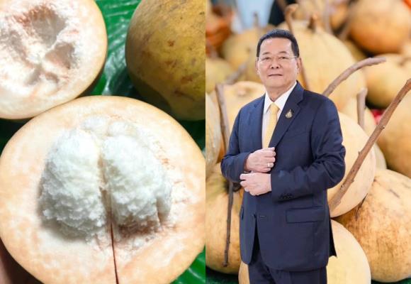 พาณิชย์ ขึ้นทะเบียน GI ใหม่ 'ทุเรียนบางนรา'มั่นใจช่วยเพิ่มมูลค่า-เพิ่มรายได้ชุมชน