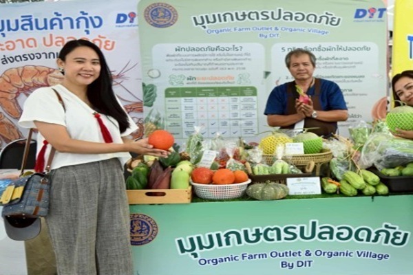 กรมการค้าภายในจับมือพาณิชย์จังหวัด นำสินค้าเกษตรอินทรีย์จำหน่ายตรงผู้บริโภค