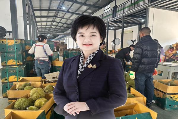 พาณิชย์ แจ้งข่าว บริษัทจีนในคุนหมิง สนใจนำเข้าทุเรียนไทยวันละ 20-30 ตู้