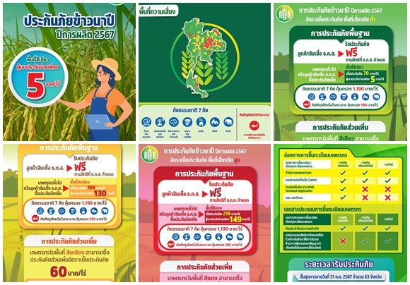 สำนักงาน คปภ. เดินหน้าขับเคลื่อนโครงการประกันภัยข้าวนาปี ปีการผลิต 2567      