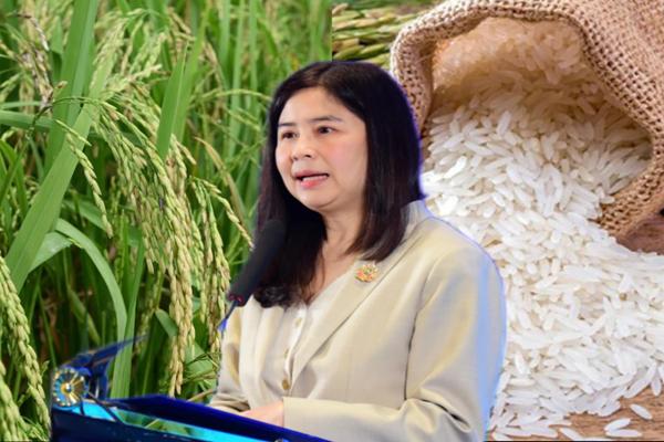 กรมการค้าต่างประเทศ รับนโยบายรัฐบาล ปลดล็อกขึ้นทะเบียนส่งออกข้าวเหลือ 30 นาที