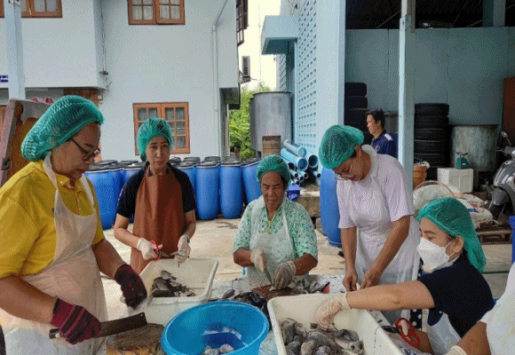 ปลาหมอคางดำ