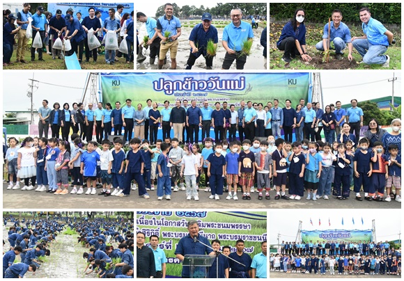 ม.เกษตรฯ จัดกิจกรรมปลูกข้าววันแม่ 2567 ปล่อยปลาและปลูกไม้ป่าให้ดอก มุ่งสู่ความเป็นกลางทางคาร์บอน    