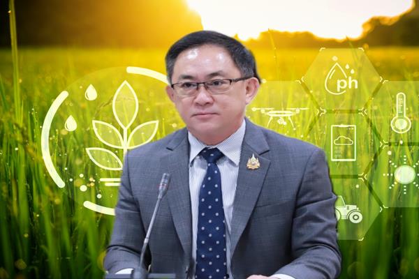 สนค.แนะชาวนาปลูกข้าวอินทรีย์ หลังตลาดโตรับเทรนด์โลก แถมขายได้ราคาดี