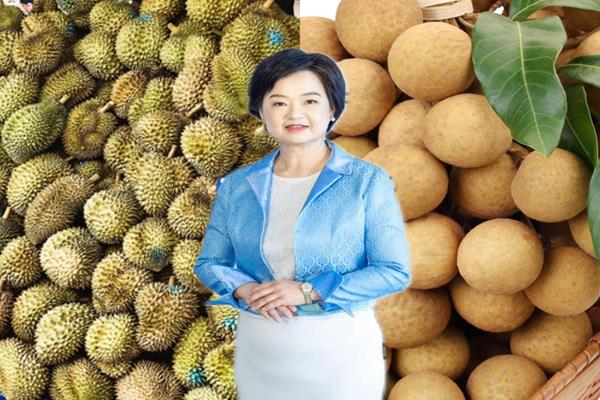 พาณิชย์ สำรวจตลาดผลไม้ไทยในซีอาน พบคนจีนชอบกินทุเรียน ลำไย มังคุดเริ่มนิยม