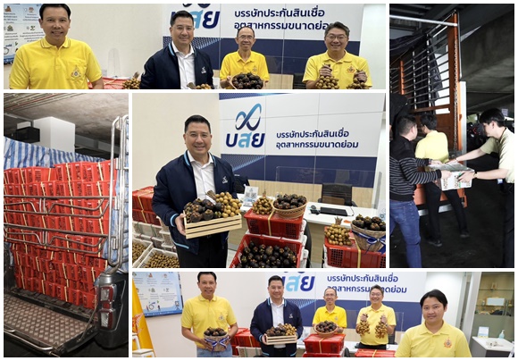 บสย. ร่วมใจรับซื้อ'มังคุด-ลำไย'รวม 4 ตัน ช่วยเหลือเกษตรกร ช่วงผลผลิตล้นตลาด