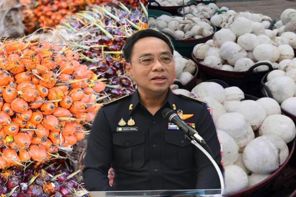 พาณิชย์ จัดชุดเฉพาะกิจ ลงพื้นที่ตรวจสอบการซื้อขาย 'ยางพารา-ปาล์มน้ำมัน'