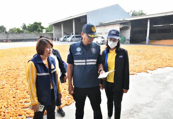 พาณิชย์ ลุยต่อเนื่อง ลงพื้นที่ตรวจสอบลานรับซื้อข้าวโพด ฟันแล้ว 4 ราย ทำผิดกฎหมาย