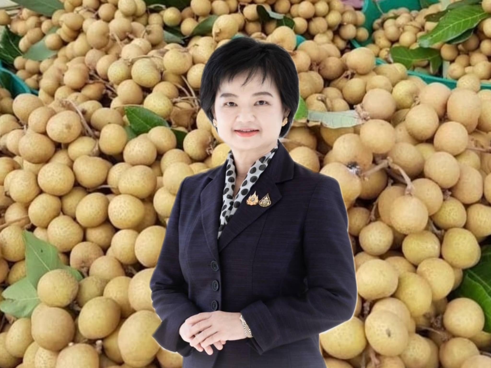 พาณิชย์ เผยลำไยไทยรุ่งในเซี่ยเหมิน ผู้บริโภคถูกใจ หวาน หอม ผลใหญ่ เมล็ดเล็ก