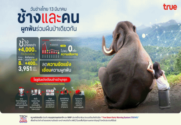 วันช้างไทย13มีนาคม