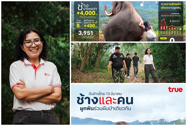วันช้างไทย 13 มีนาคม ทรู คอร์ปอเรชั่นนำโซลูชัน TSEWS ลดความขัดแย้ง เชื่อมความผูกพันช้างกับคนสู่การอยู่ร่วมกันอย่างยั่งยืนในยุคดิจิทัล